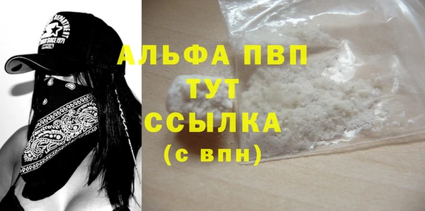 индика Пересвет