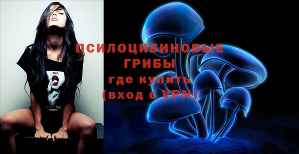 jwh Алзамай