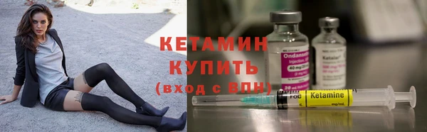 индика Пересвет