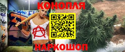 PSILOCYBIN Камышлов